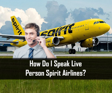 How Do I Speak Live Person Spirit Airlines?